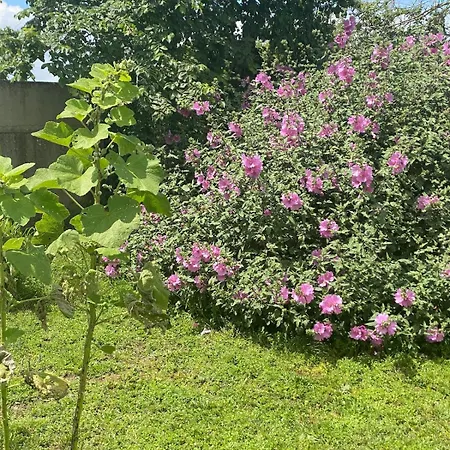 Сasa de vacaciones Face A La Bourcefranc