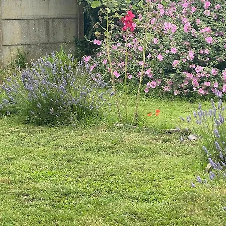 Сasa de vacaciones Face A La *