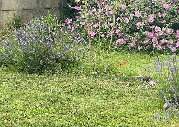 Hébergement de vacances Face à La *